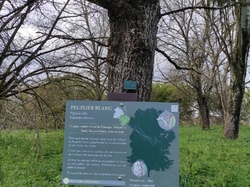  <a style='color: #fff;' href='/uploaded/photo/visie-arboretum-de-chevreloup-6253fa0c189a7.jpg'>(Télécharger)</a>