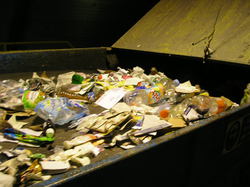  <a style='color: #fff;' href='/uploaded/photo/visite-du-centre-de-tri-cyrene-54a810da85441.jpg'>(Télécharger)</a>