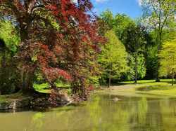  <a style='color: #fff;' href='/uploaded/photo/visite-du-desert-de-retz-5ce1446ff244d.jpg'>(Télécharger)</a>